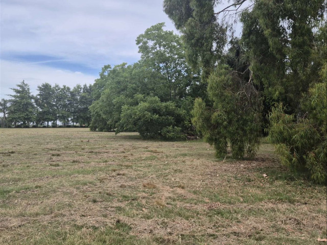Terreno en Paso de la Arena