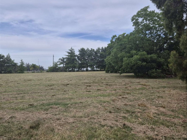 Terreno en Paso de la Arena